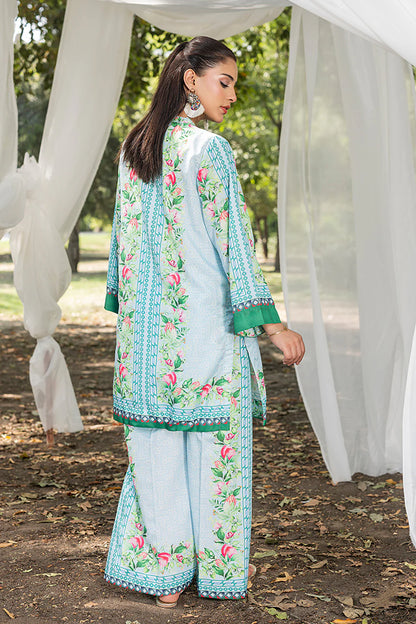 Zuri Official- Sky Blue printed 2 Pc