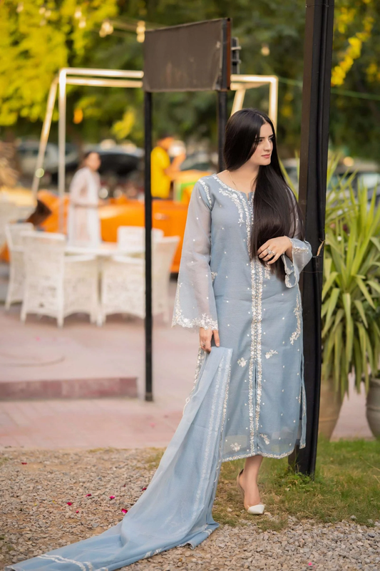 Rivaaj Fashion- Pure Cotton Lama Net Fabric Suit