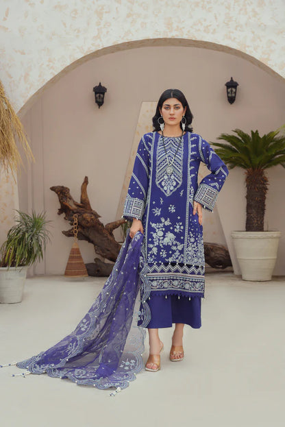 Ricamo- Blue Organza Embroidered Suit