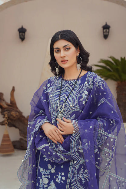 Ricamo- Blue Organza Embroidered Suit