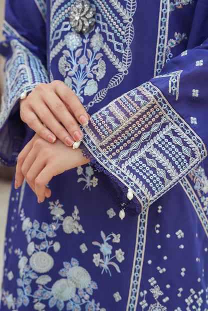 Ricamo- Blue Organza Embroidered Suit