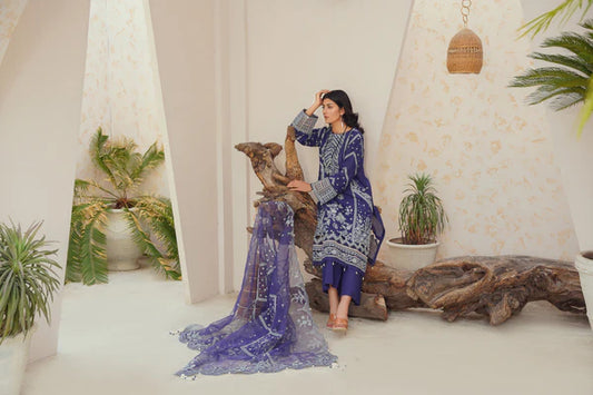 Ricamo- Blue Organza Embroidered Suit