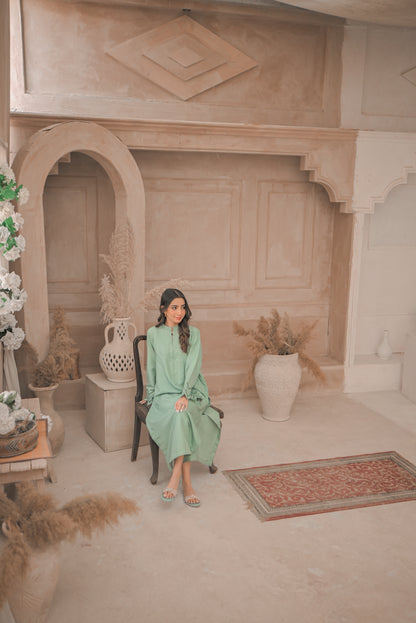 Zauk- Apple green embroidered 2 Pc suit