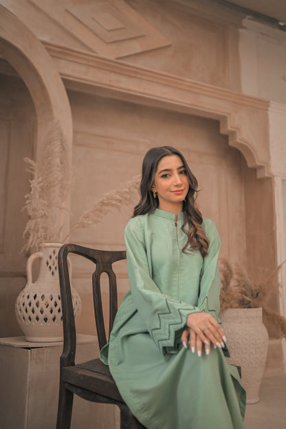 Zauk- Apple green embroidered 2 Pc suit