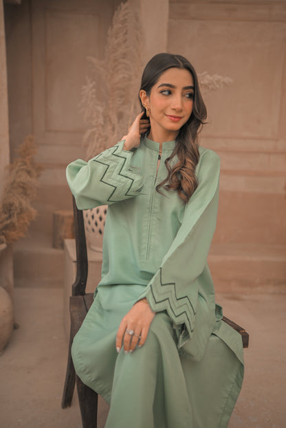 Zauk- Apple green embroidered 2 Pc suit