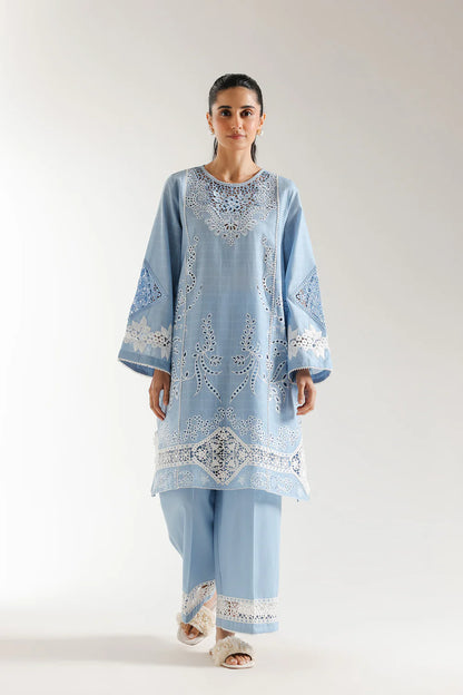 Ethnc- Ice Blue Embroidered Suit