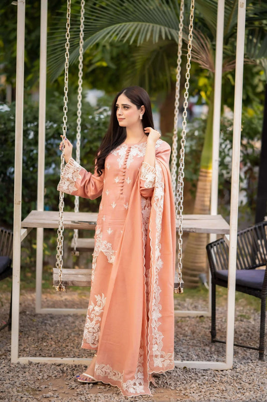 Rivaaj Fashion-  Raw Silk Suit