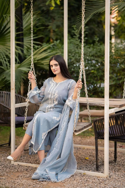 Rivaaj Fashion- Pure Cotton Lama Net Fabric Suit