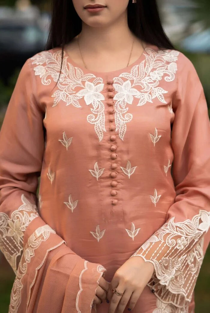 Rivaaj Fashion-  Raw Silk Suit