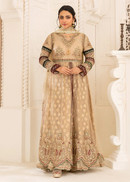 Diara- Off white Anarkali
