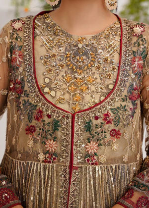 Gulnoor- Flared Gown
